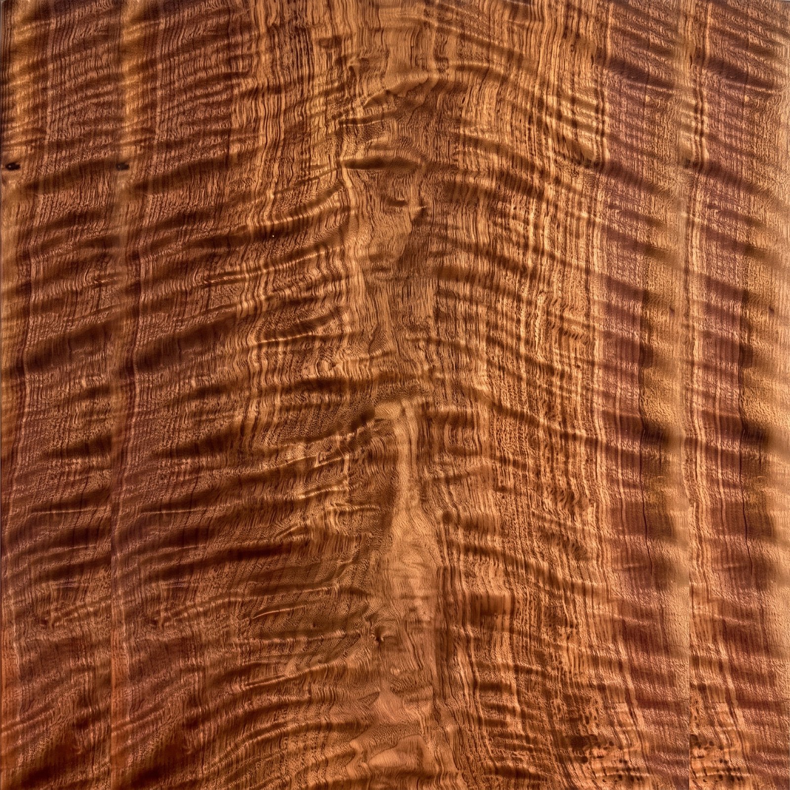 Black Walnut Tonewood