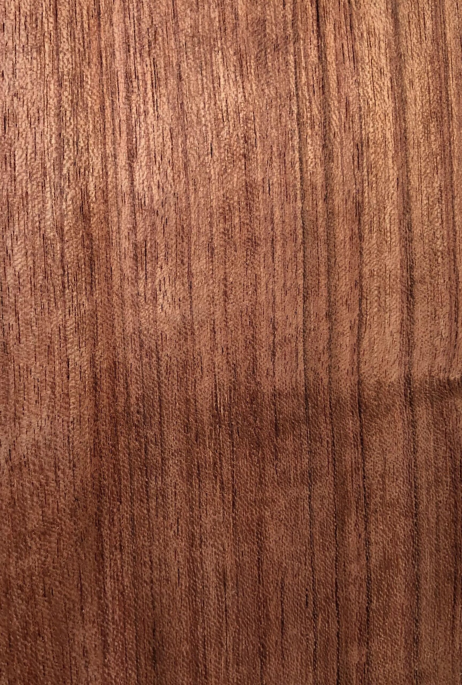 Congo Dialium Tonewood